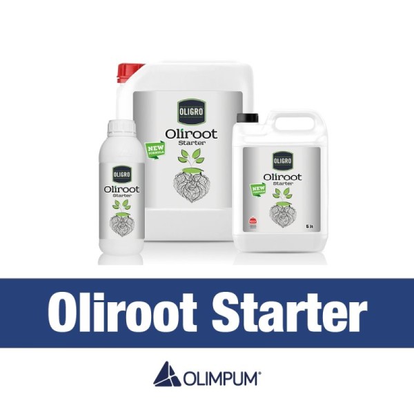 Oligro Oliroot Starter 1L